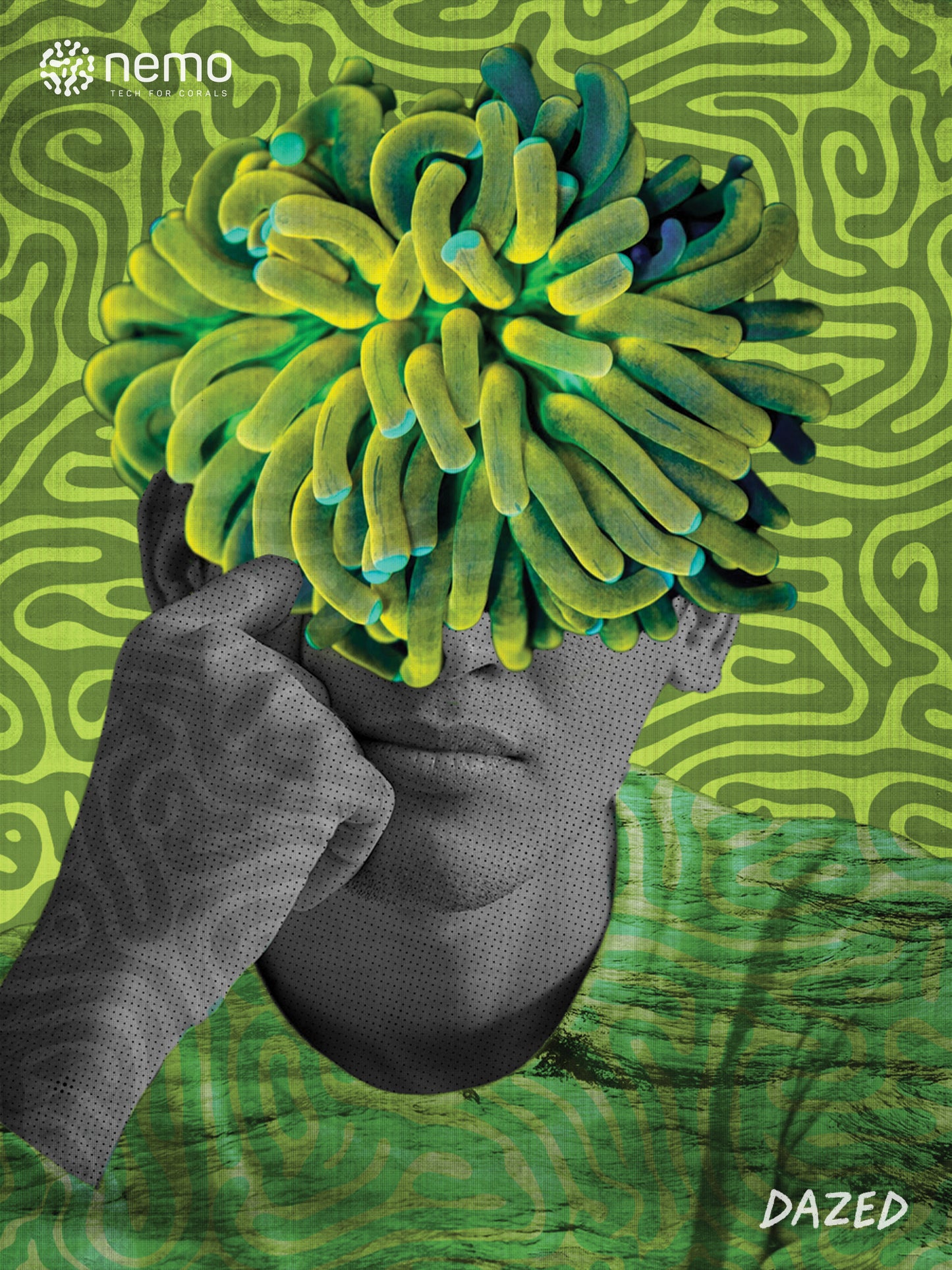 Dazed – NFT Poster | Lovely Corals