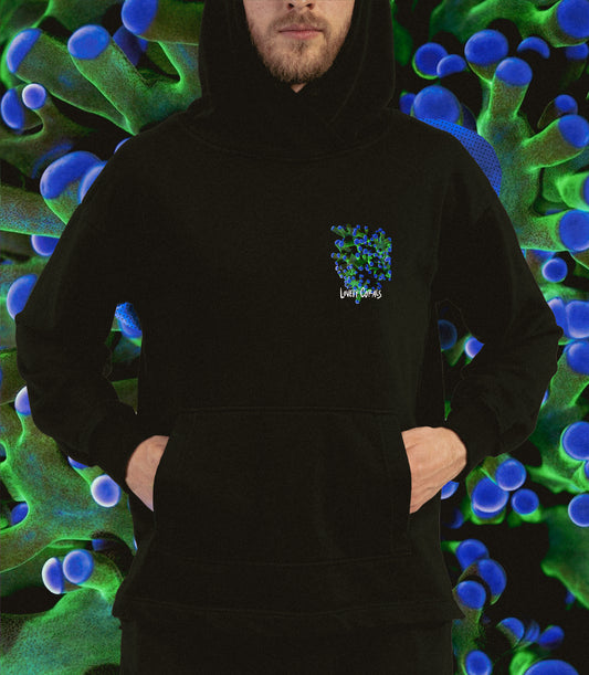 Facing Reality – NFT Official Hoodie | LovelyCorals