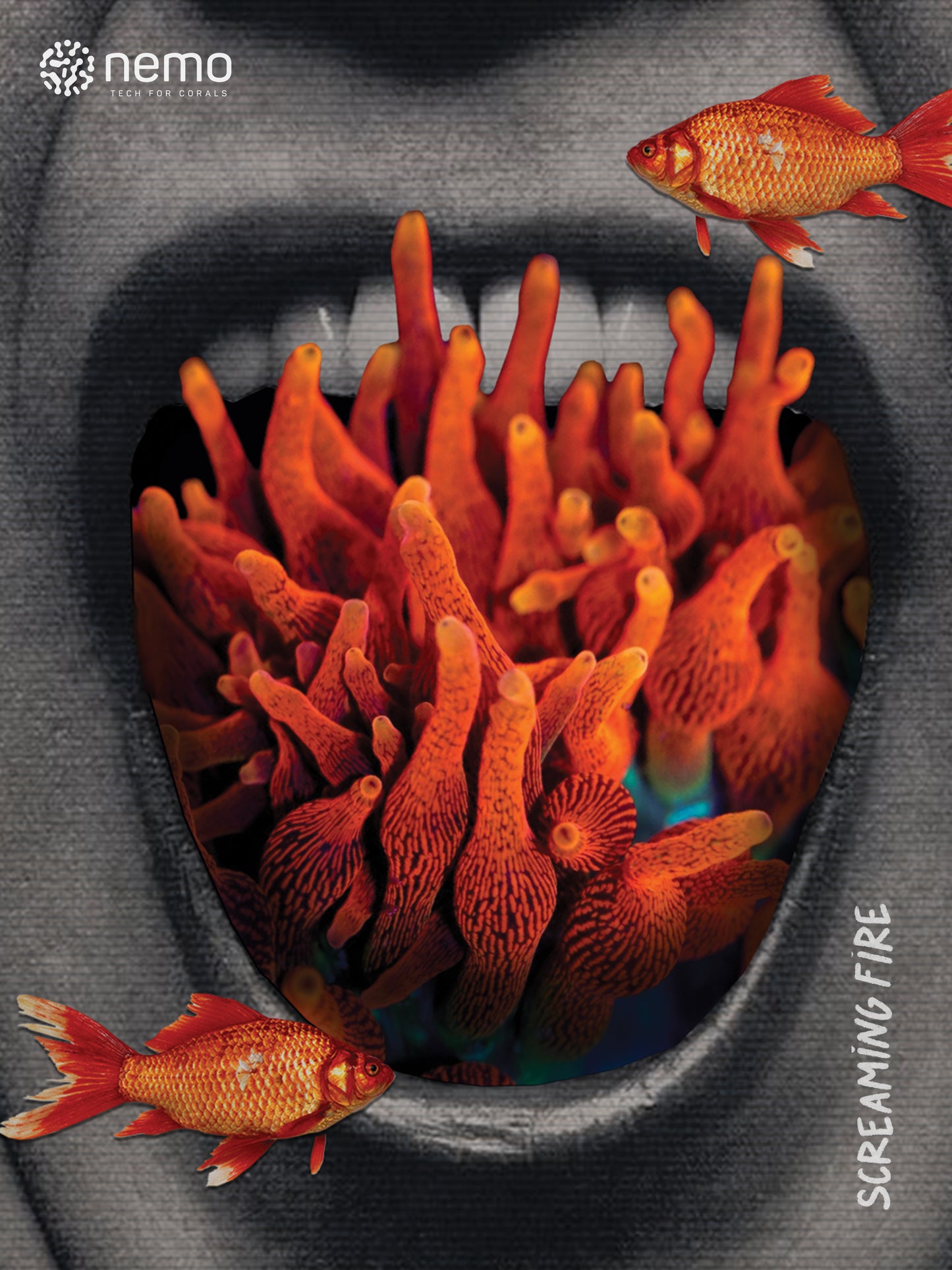 Screaming Fire – NFT Poster | Lovely Corals